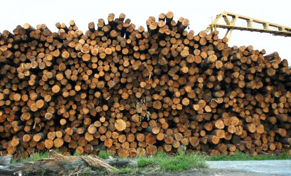 Lumber_1591841485-1.jpg